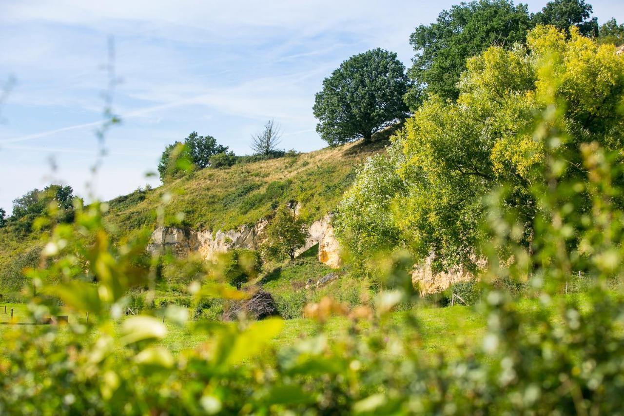 Berghotel Vue Berg en Terblijt Bagian luar foto