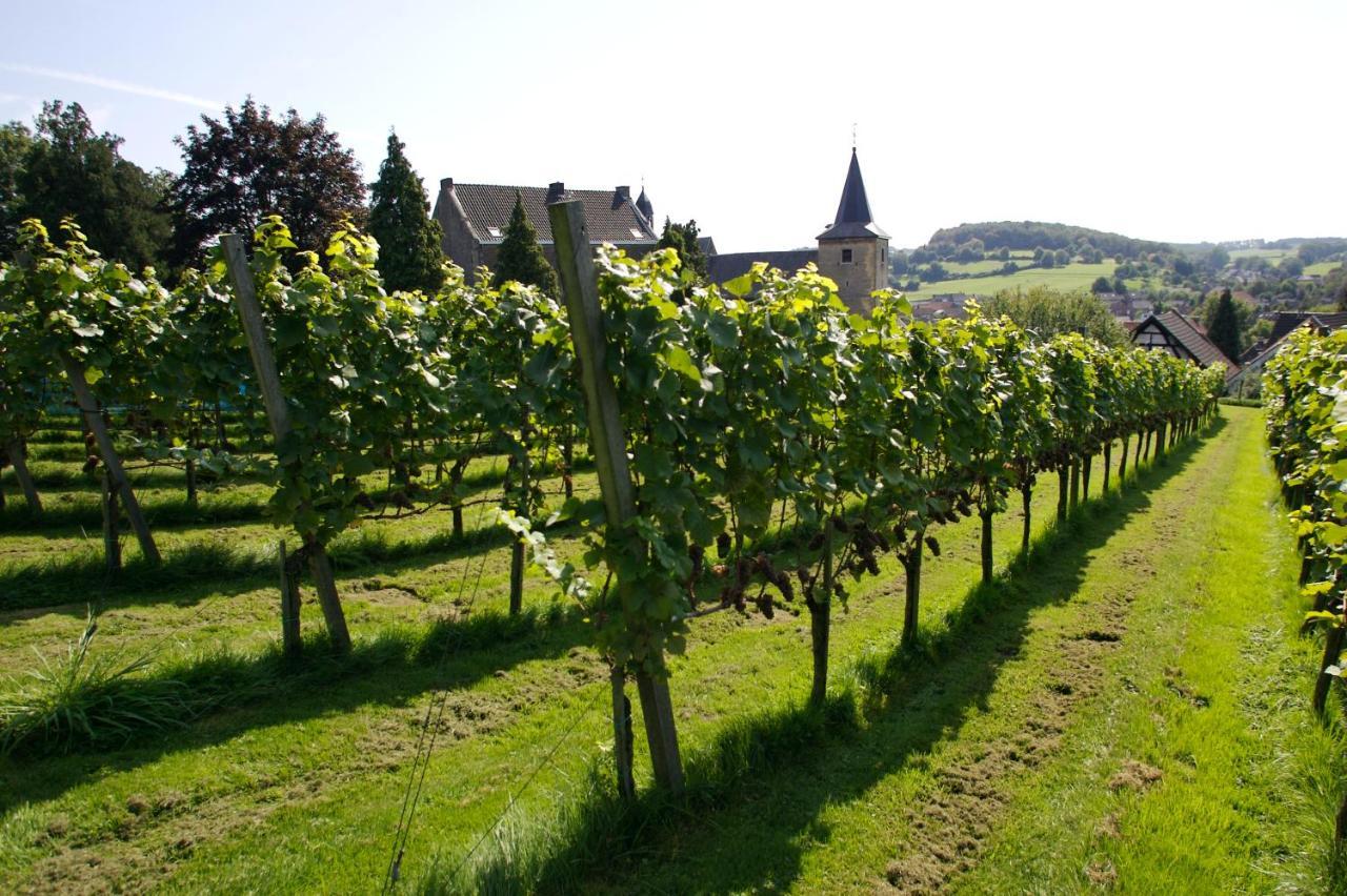 Berghotel Vue Berg en Terblijt Bagian luar foto